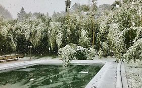 Radius Horse Ranch B&b